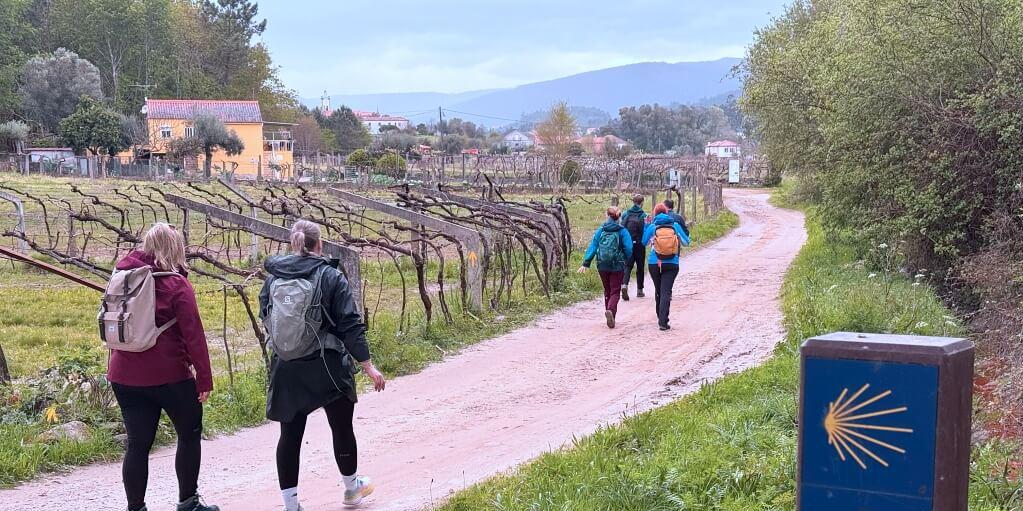  Camino de Santiago